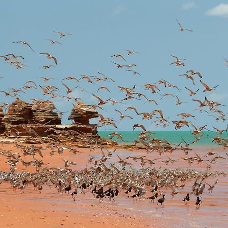 Broome Bird Observatory Exteriör bild