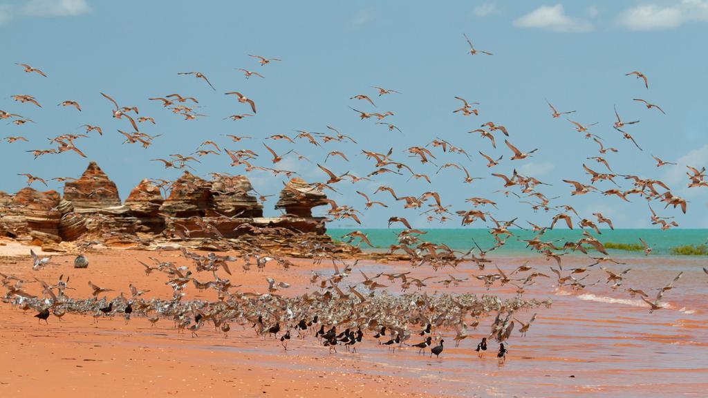 Broome Bird Observatory Exteriör bild